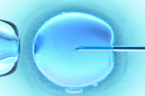 广州供卵自怀费用明细,广州卵子库供卵费用清单?_代生什么价格