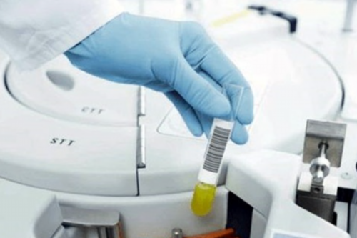 地中海贫血症患者能不能寻求泰国试管婴儿技术帮助~供卵助孕医院