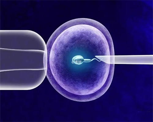 查胎停挂妇科还是内分泌科？查胎停原因挂什么科？