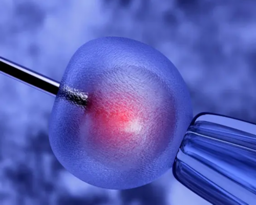 试管婴儿是体外受精吗~代怀生子公司