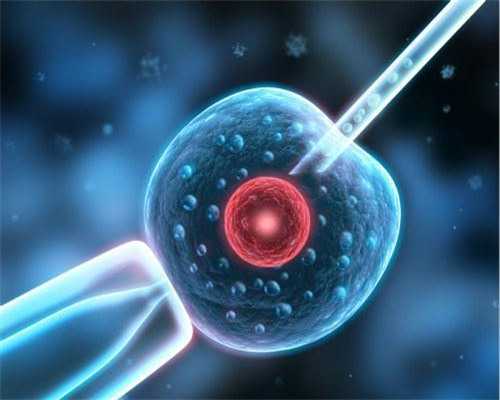 孕妇可以喝牛奶吗？哪些食物适宜孕妇食用？~代怀公司服务