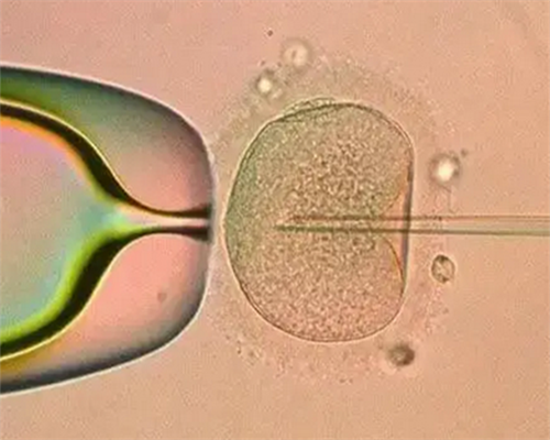 广州道教超度往生咒,梦见了死去的妈妈是什么意思？