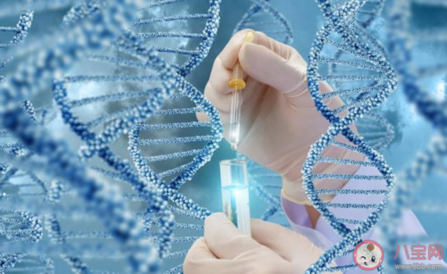 广州助孕婴儿贫血的原因