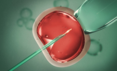 广州代生价格表明细,广州供卵请到坤和助孕,广州供卵到坤和助孕全心