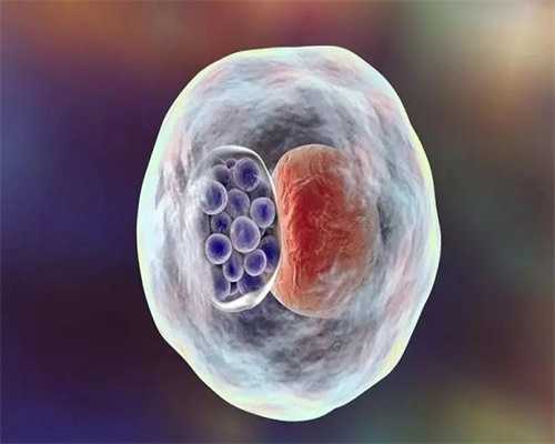 广州私立供卵生殖医院名单，附广州供卵试管助孕现状