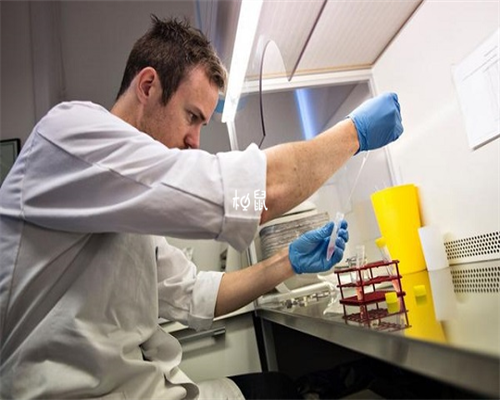 广州做供卵试管被骗的全过程,广州供卵试管要求-代怀孩子价格