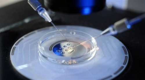 hcg孕酮多少才是怀孕？hcg孕酮对照表建议收藏！