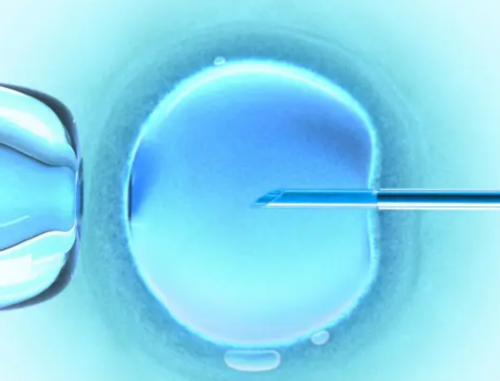 广州代怀孕正规吗,广州冻卵费用,广州冻卵医院费用机构