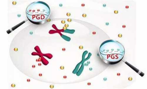 广州卵子库供卵费用清单?,广州有多少家供卵机构_怎么申请代生