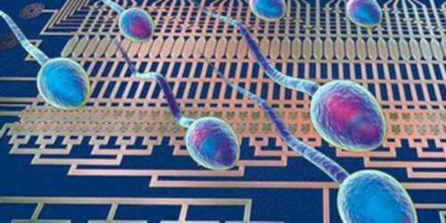 广州供卵医院地址（广州供卵医院知名十月幸孕助孕）_供卵和哪里好