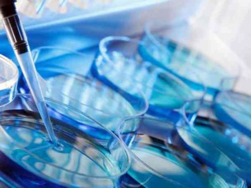 做试管婴儿深圳好还是广州？广州中山一院试管婴儿可以做供卵试管吗?