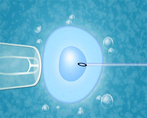 中药治宫腔粘连药偏方靠谱吗，要怎样治疗~试管私立机构