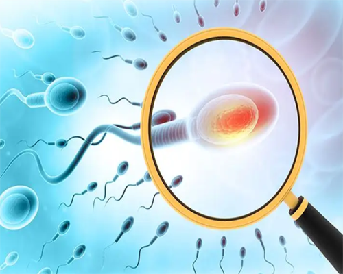 广州代生可选性别,2026试管婴儿花费明细表，泰国全部流程的详细价格谁有？