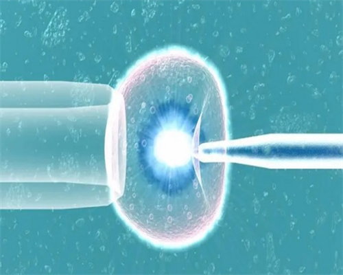 广州助孕婴儿身高