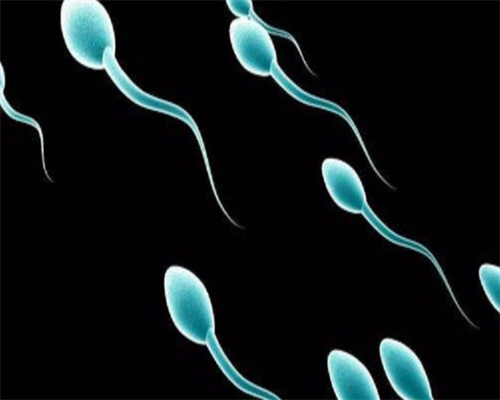 肾移植后尿路感染