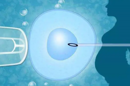 ​2026湖北省妇幼三代试管婴儿包生男孩费用