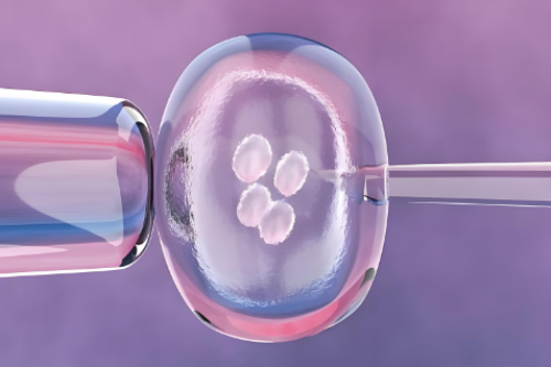 广州金贝供卵医院简介,广州地下供卵骗局有哪些-代孕成功案例