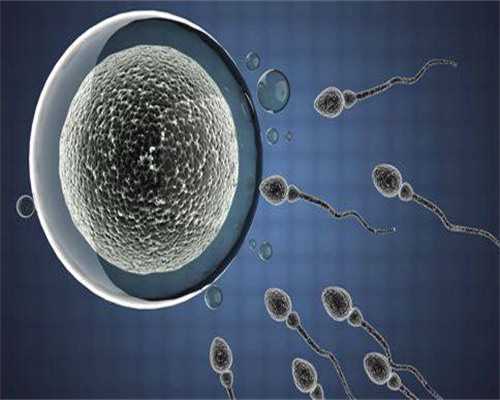 广州代孕哪家最便宜,广州供卵正规机构有几家,广州供卵机构