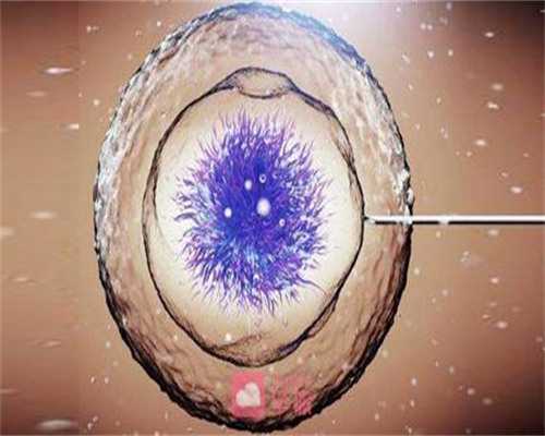 广州超度经文抄写,还寿生债：寿生债表文疏，还寿生债表文