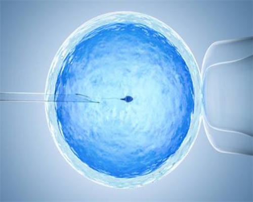 广州中山六院可以供卵,广州卵子库供卵费用清单?-代怀咨询电话