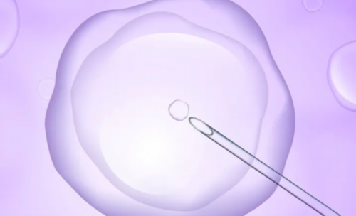 去医院监测卵泡需要憋尿吗？什么时间去医院检测卵泡合适？,助孕医院咨询