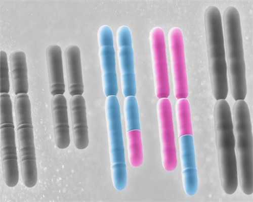 广州中山一院试管婴儿可以做供卵试管吗?卵巢早衰可以在广州做供卵试管吗