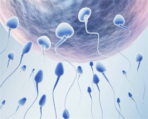 试管婴儿打蛋白有什么不良反应~生子借卵试管