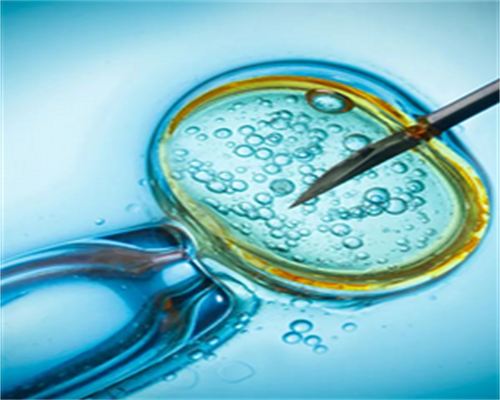 广州供卵试管婴儿哪家好,广州供卵试管婴儿医院_大学生手游游戏