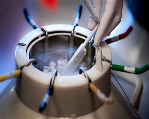 【b超图】怀孕10周b超图~代怀代生机构