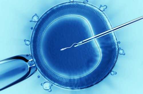 广州寺庙里的斋饭,还阴债：阴债还几次民间还阴债的详细步骤