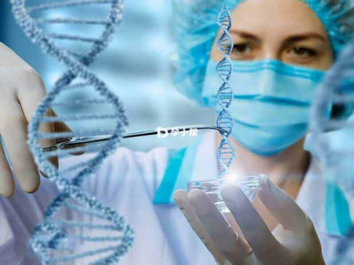 广州供卵三代试管套路揭晓！选择机构需实地考察