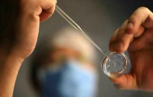 胚胎停育的原因有哪些？　　