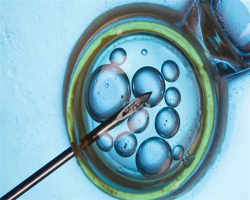 广州靠谱的代孕公司,广州人工受孕公立医院,广州人工受孕三甲医院