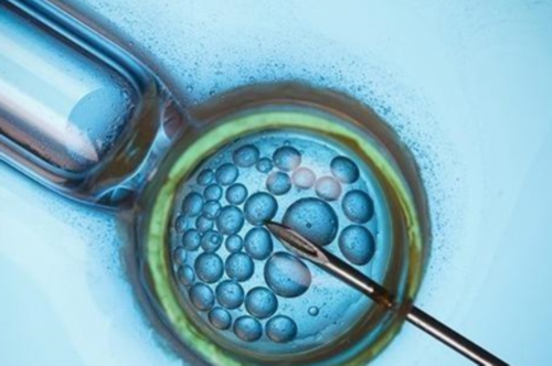 广州助孕婴儿舌苔发黑怎么回事