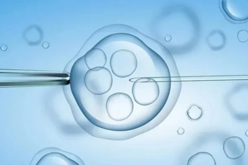 自然周期移植前雌二醇和孕酮多少正常？自然周期移植冻胚前雌二醇和孕酮多少正常？~供卵试管血型