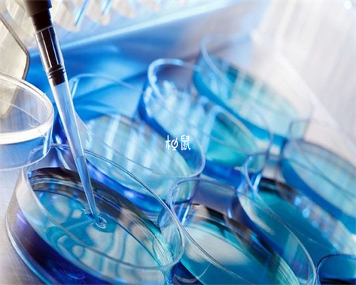 广州金贝供卵多少钱,广州卵子库供卵费用清单?-哪里做代孕最好