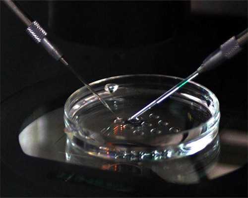 宫腔粘连和输卵管堵塞有什么区别,试管助孕机构