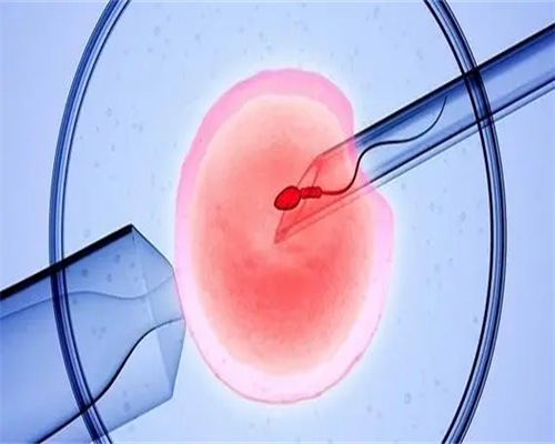 女性身体要具备什么条件才可以移植鲜胚？