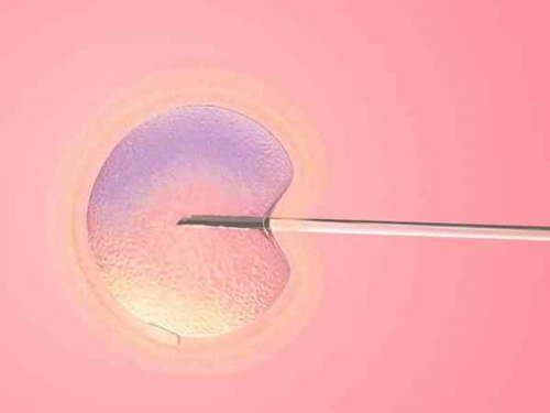 广州供卵自怀费用明细,广州紫朵朵供卵价格_三星2026开机反复重启