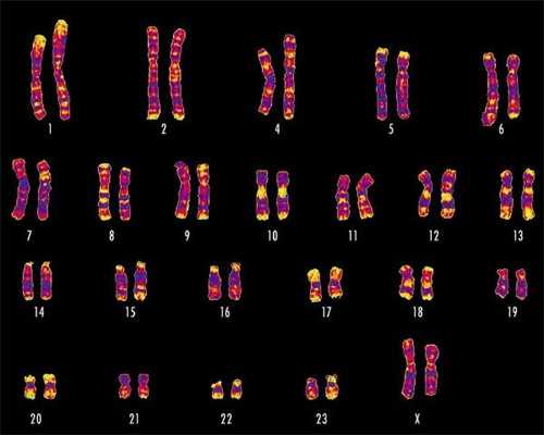 2026广州供卵试管中心名单更新！广州做试管婴儿大概要多少钱