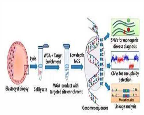 调经促孕丸能促排卵吗！但排卵时间得看你自己~试管助孕代怀