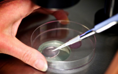 广州寺庙里面的菩萨其实就是鬼,还阴债：还阴债表文与还阴债的时间都很要