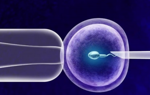 移植冻胚第三天骨盆酸痛正不正常-移植后盆腔处疼怎么回事~有偿代怀机构