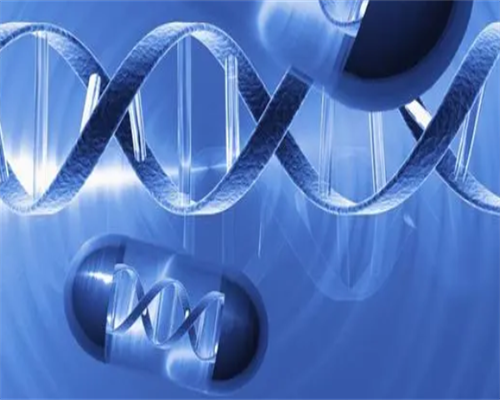 产后两天可以吃水果吗？产后检查子宫回声不均匀,助孕联系方式