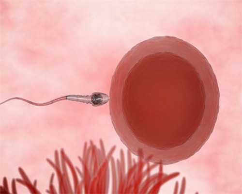 广州三代试管包成功生男孩总费用多少？,广州供卵包成功_男子长度