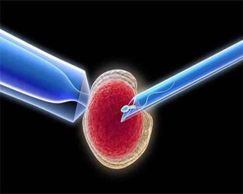 广州寺庙斋饭菜谱大全,怎样超度堕胎的孩子—最简单的超度婴灵方法