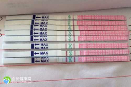 广州正规代生中介,试管婴儿能在其他母体发育 出生吗？-上海供卵试管生子多少