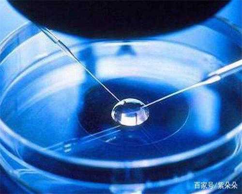 试管婴儿比普通婴儿聪明吗~助孕代怀机构