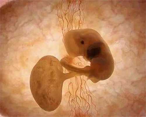 广州供卵试管婴儿中介,广州有提供供卵服务的医院-试管代怀网