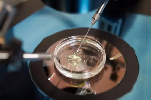 辽宁子宫内膜的厚度：子宫内膜厚度参考范围,试管供卵孩子